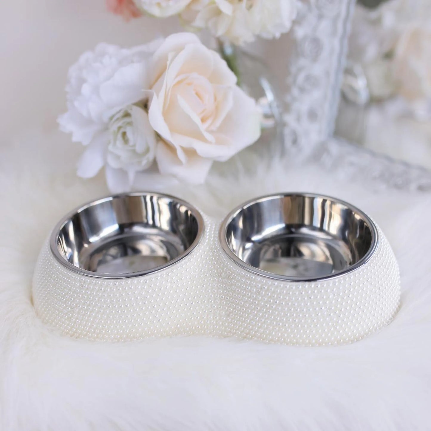 Dining Bowl - Your Pet Connection