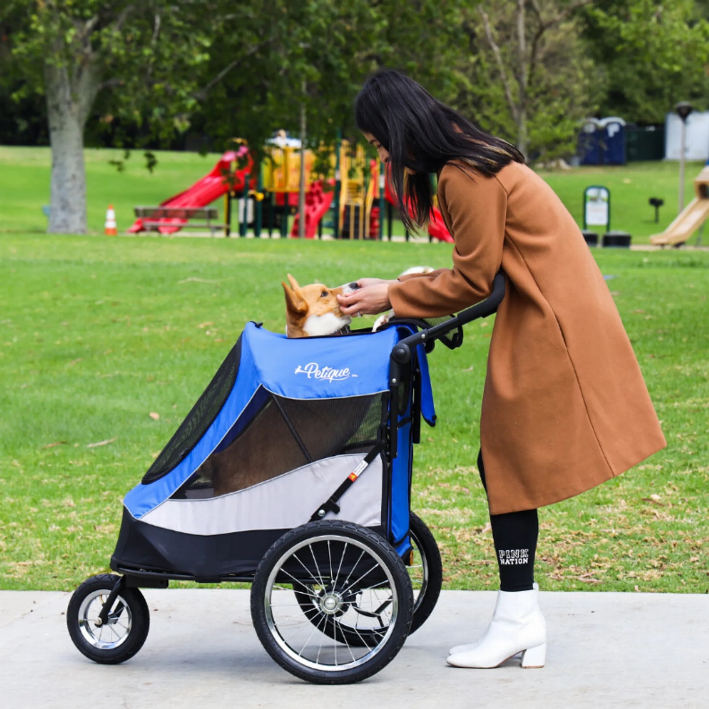 Trailblazer Pet Jogger - Your Pet Connection