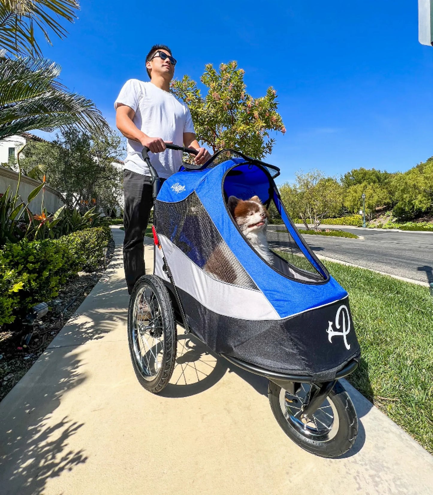 Trailblazer Pet Jogger - Your Pet Connection