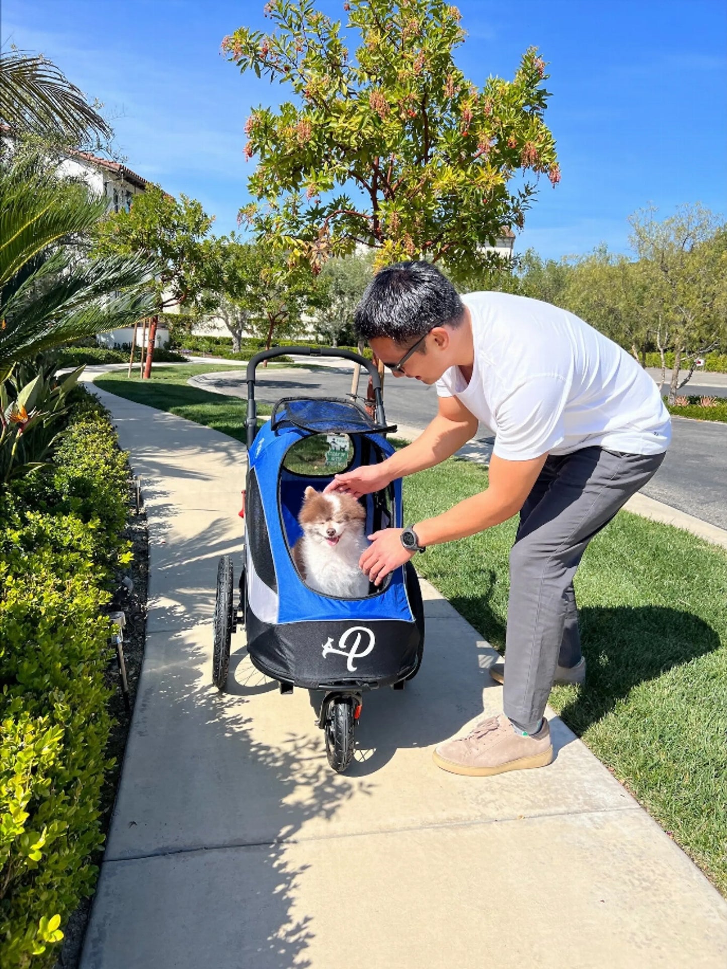 Trailblazer Pet Jogger - Your Pet Connection