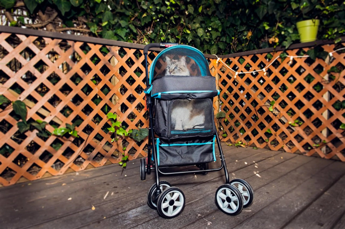 Pet and Pets Swift Pet Stroller - Your Pet Connection