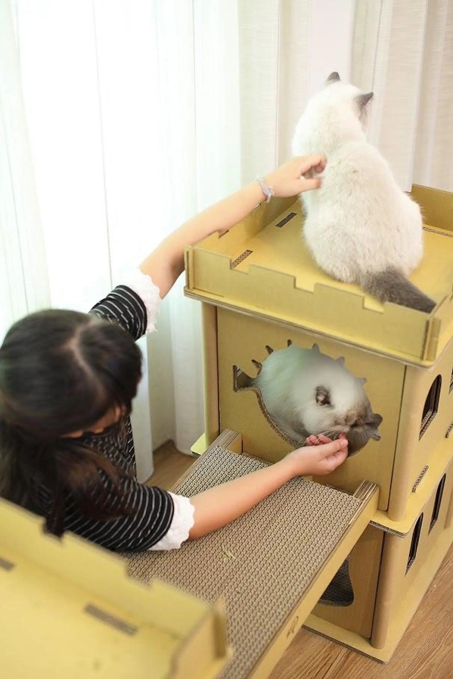 London Bridge Cat House - Your Pet Connection