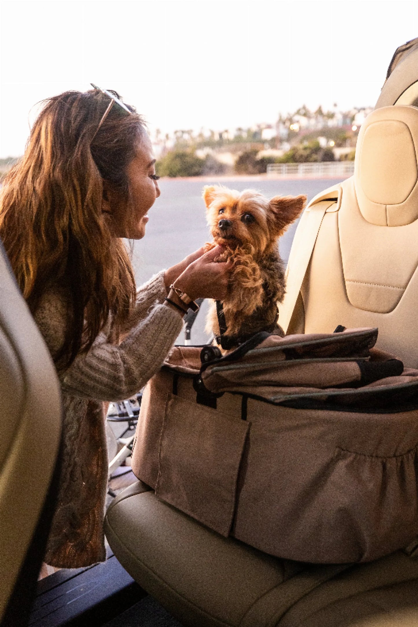Newport Pet Stroller (3-in-1 Travel System) - Your Pet Connection