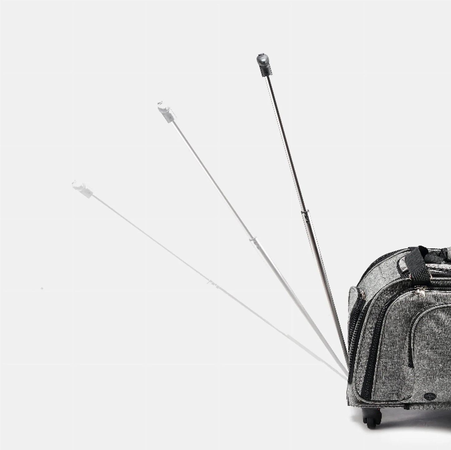 Happy Camper Pet Carrier - Your Pet Connection