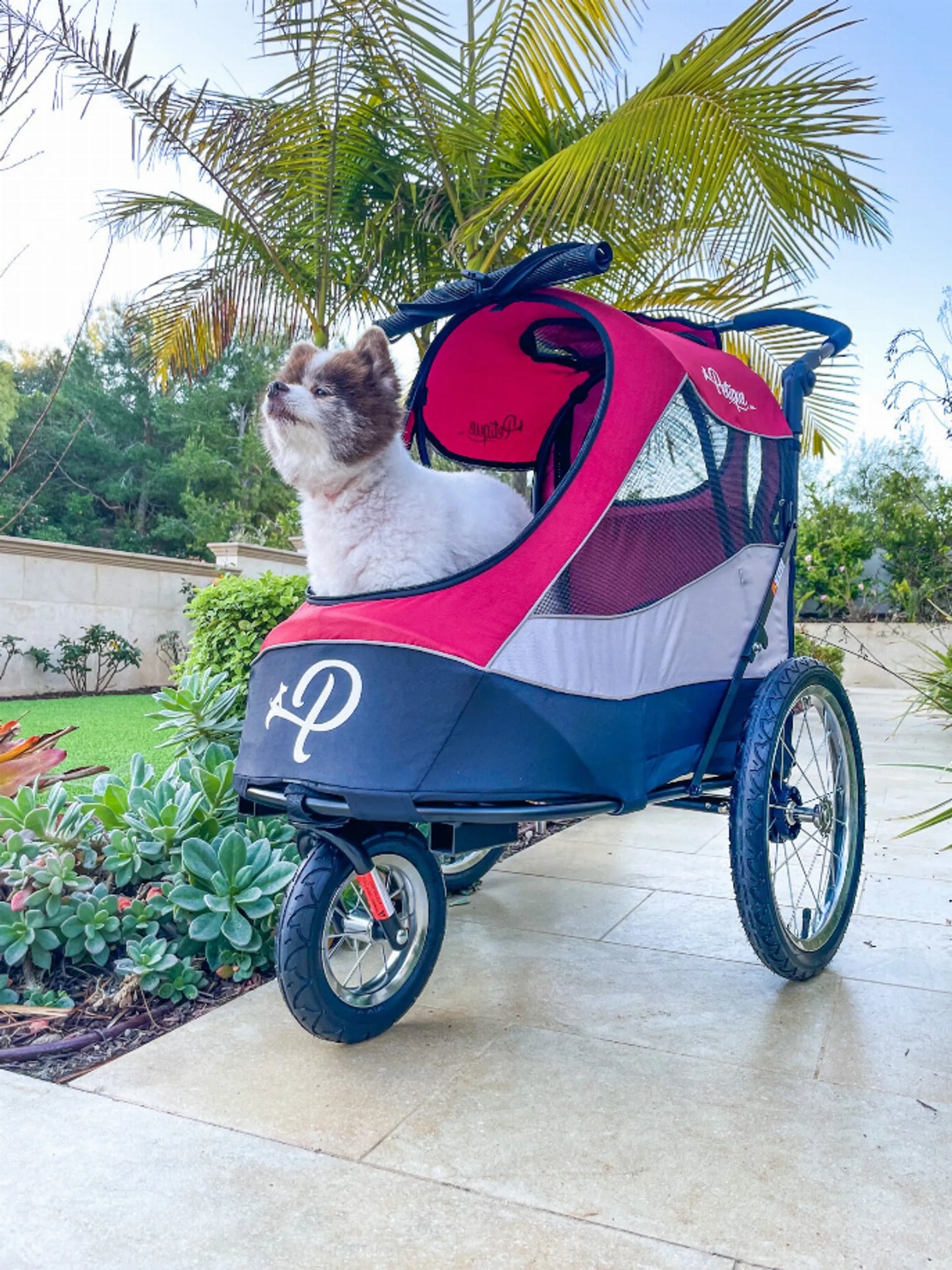 Trailblazer Pet Jogger - Your Pet Connection