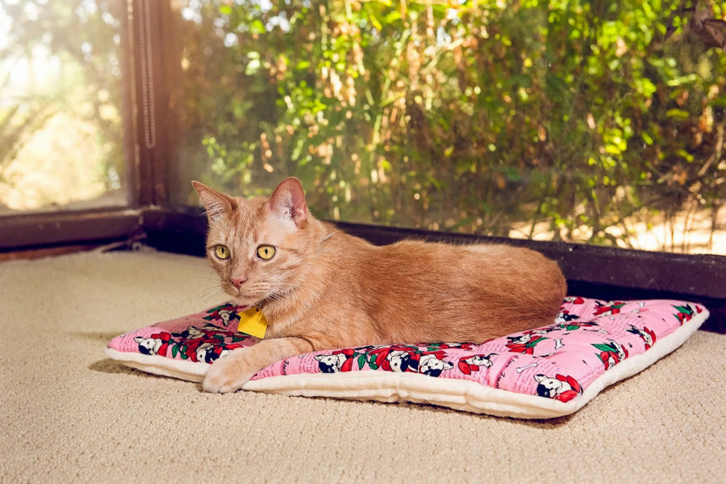 Comfy Mat Pet Bed - Your Pet Connection