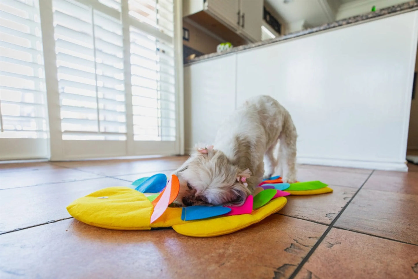 Snuffle Mat Puzzle Pad - Your Pet Connection