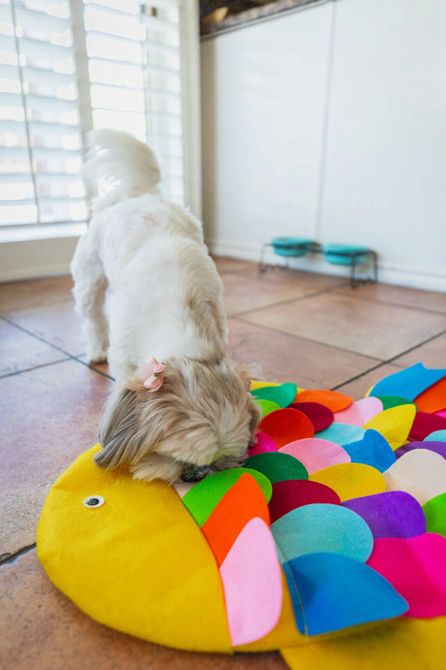 Snuffle Mat Puzzle Pad - Your Pet Connection