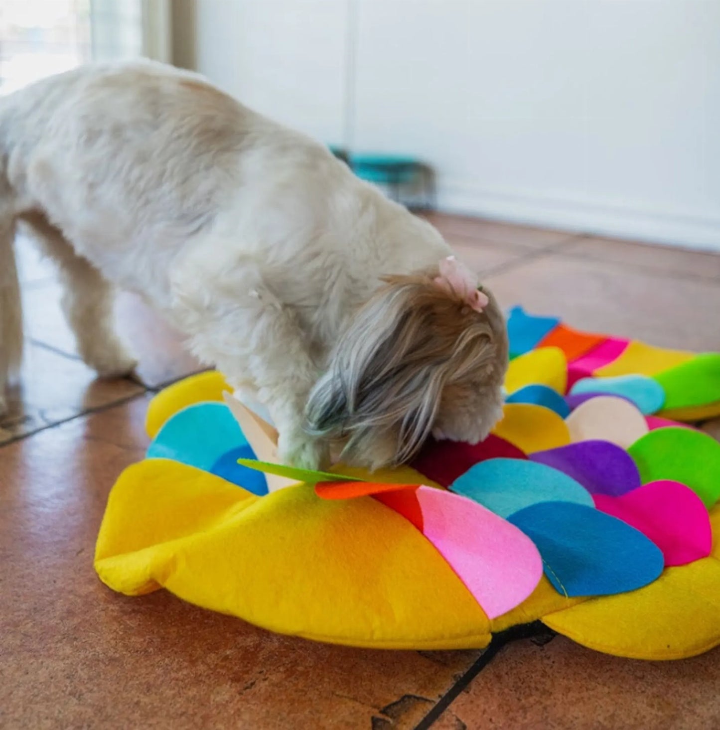 Snuffle Mat Puzzle Pad - Your Pet Connection