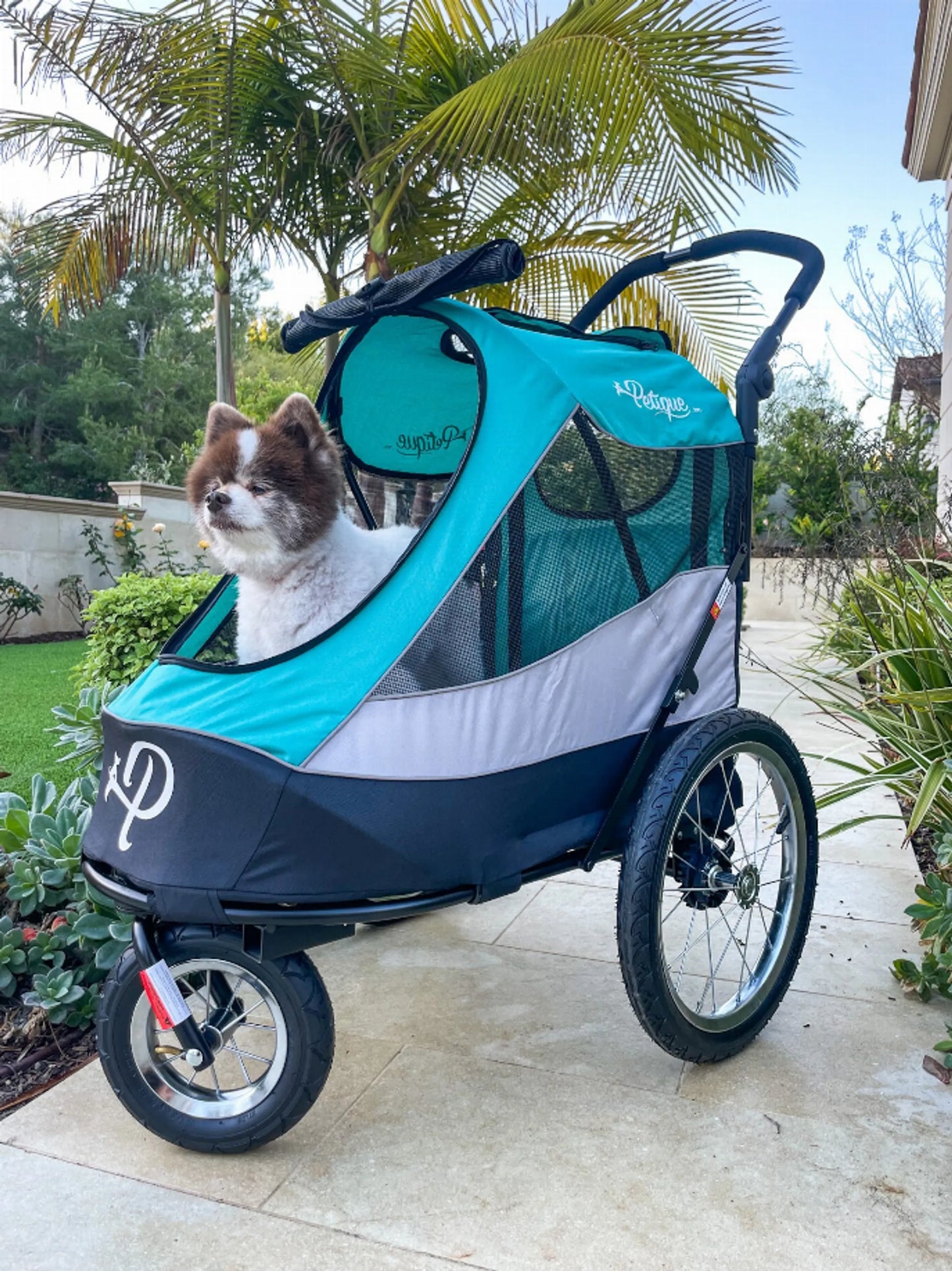 Trailblazer Pet Jogger - Your Pet Connection