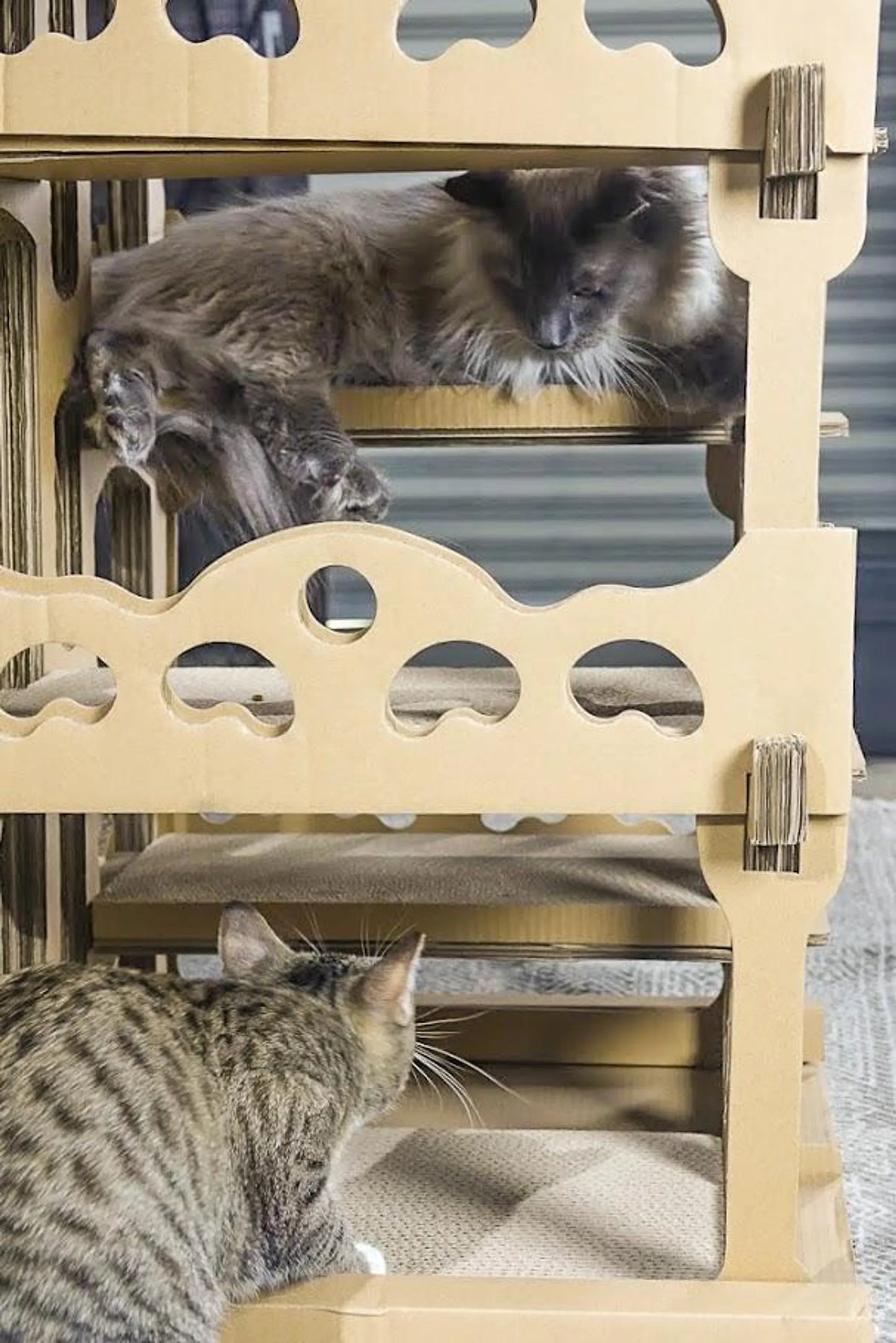 Feline Chateau Cat House - Your Pet Connection