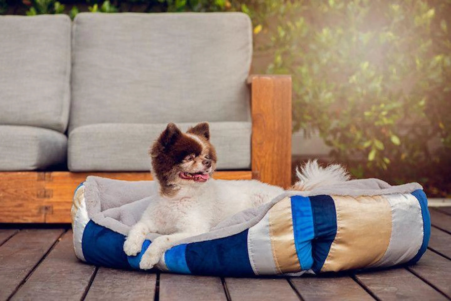 Golden Waves Reversible Pet Bed - Your Pet Connection