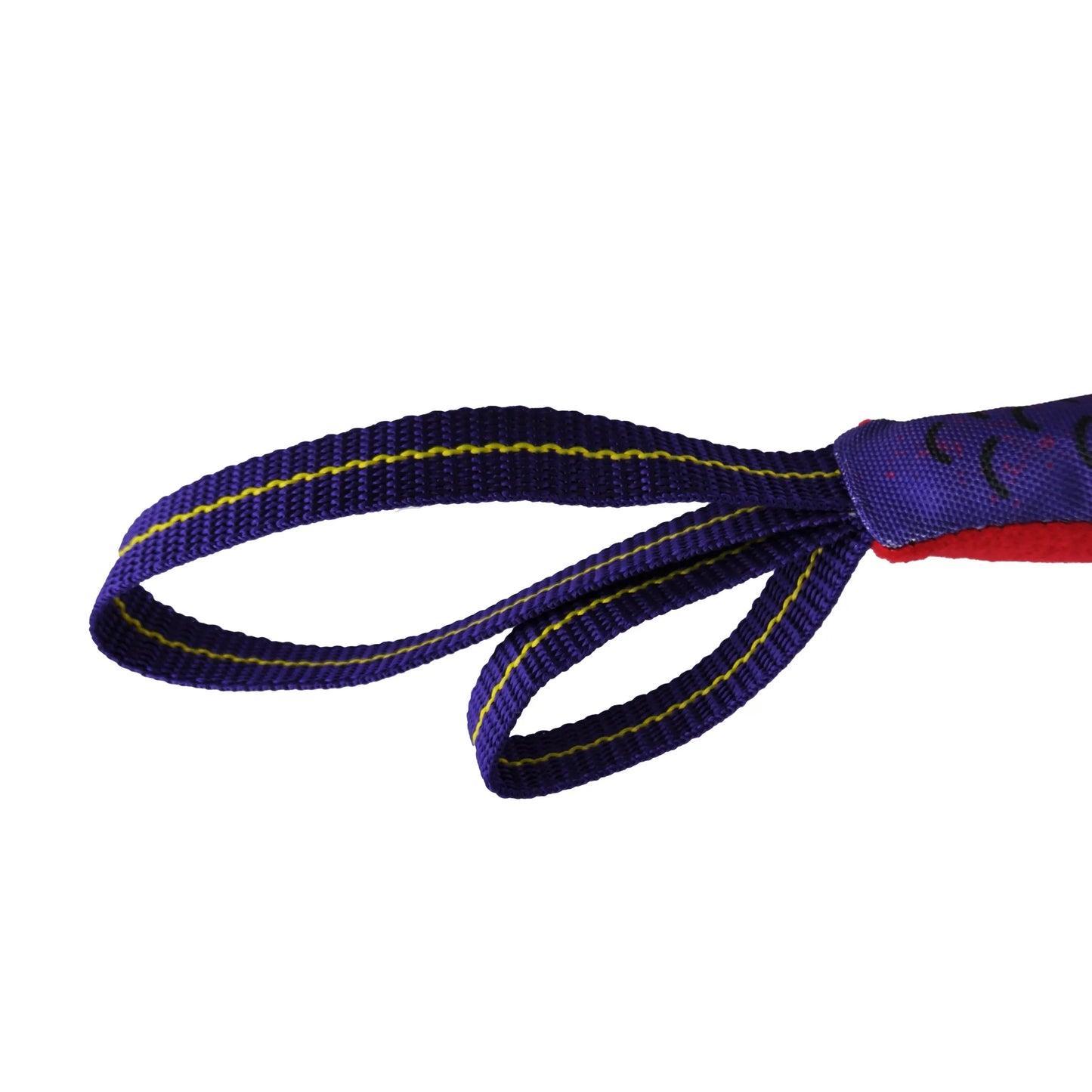Flyin' Fish Dog Toy - Your Pet Connection