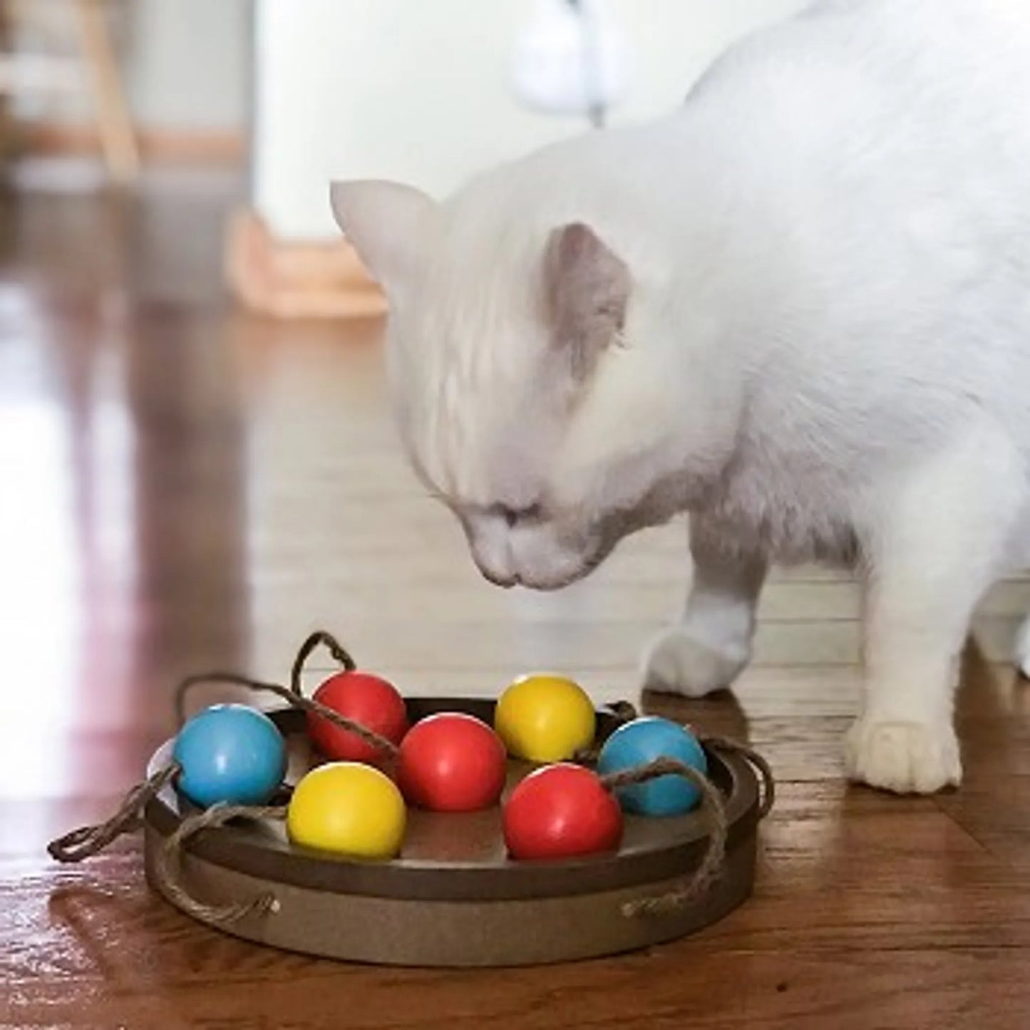 Brainiac Interactive Pet Toy - Your Pet Connection