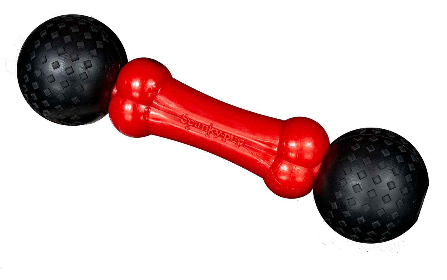 Fetch & Chew Bone