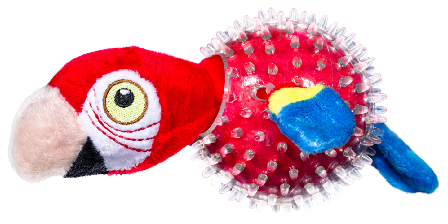 Parrot in Clear Spiky Ball - Your Pet Connection