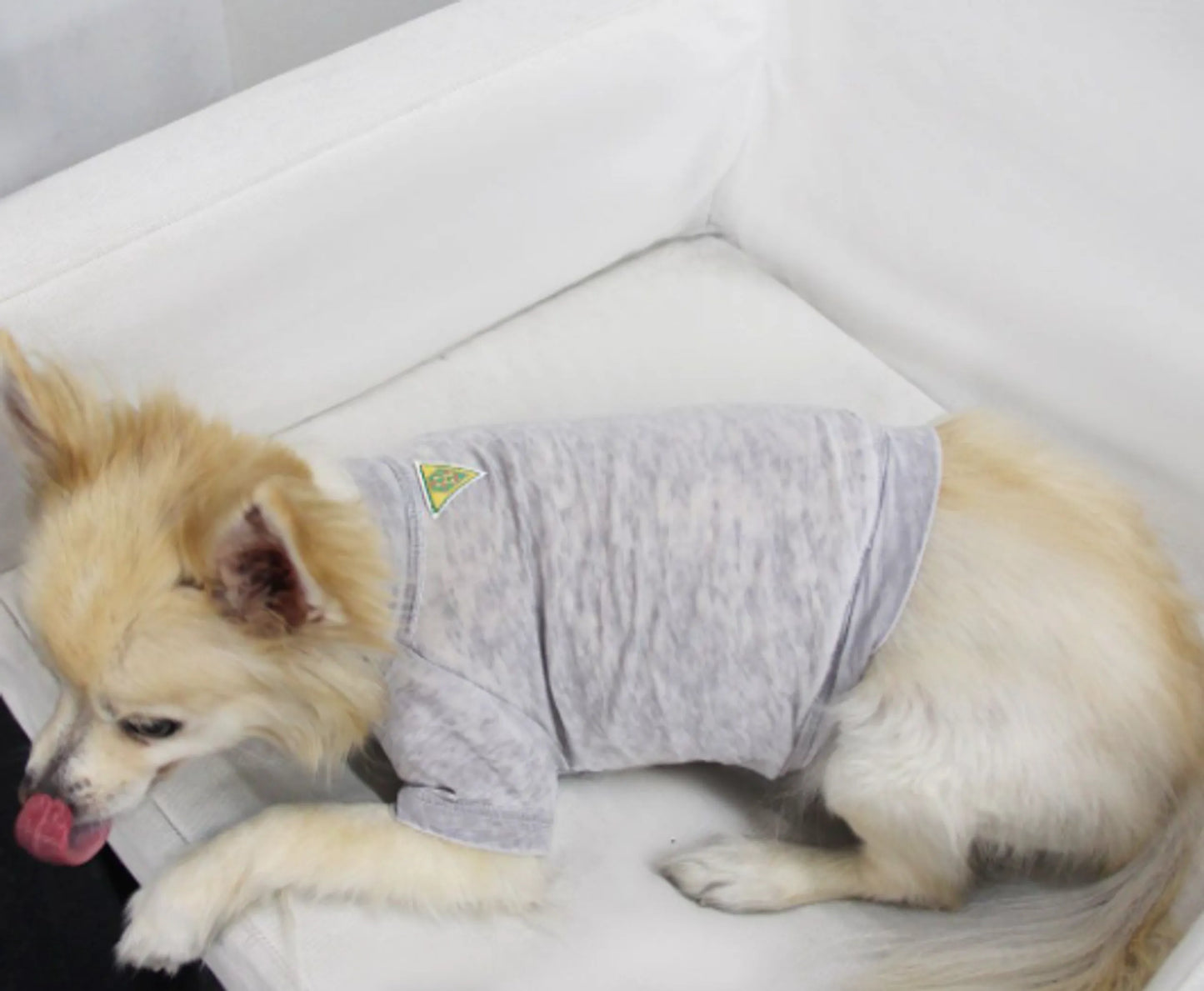 Doggy Tee - Your Pet Connection