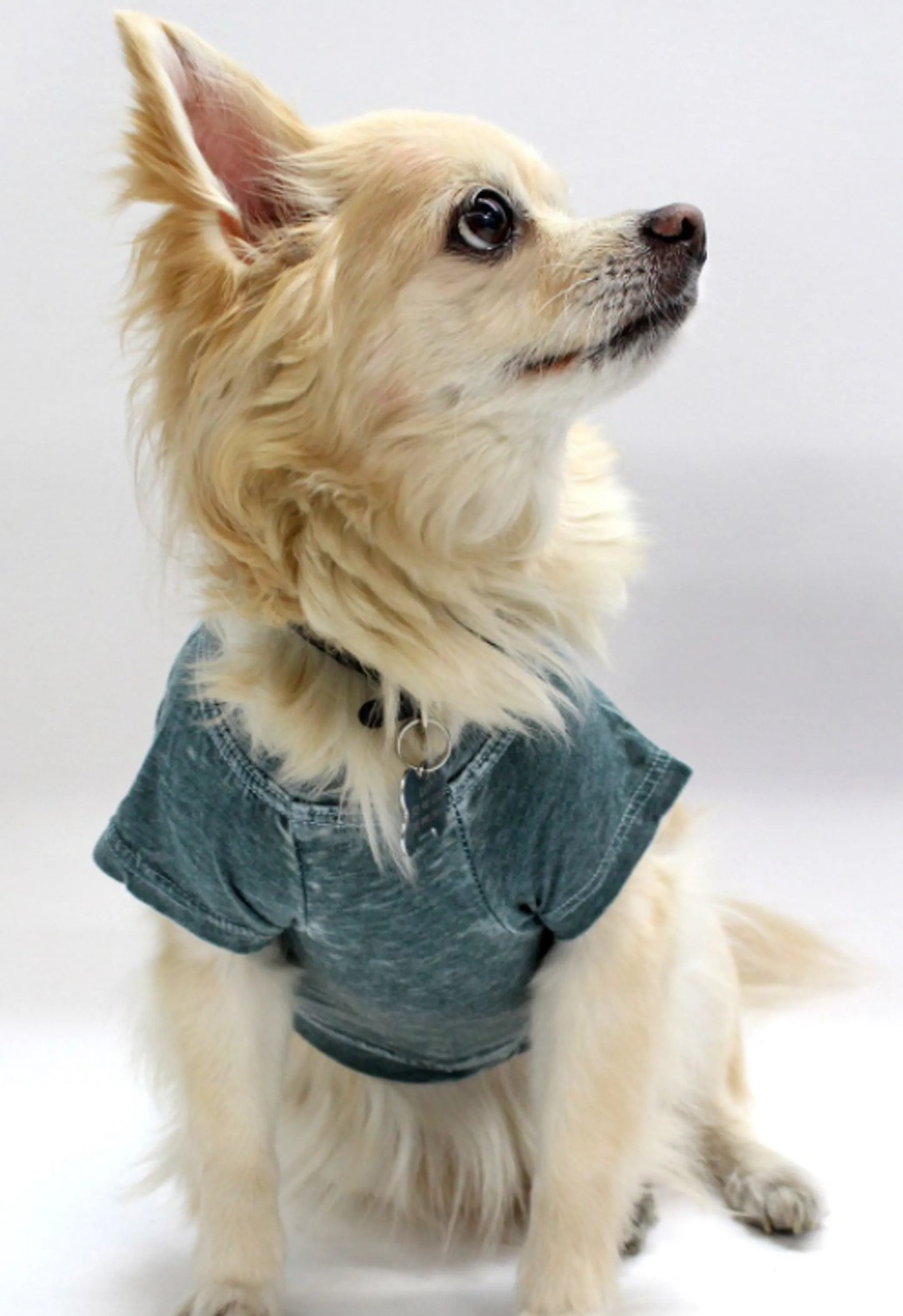 Doggy Tee - Your Pet Connection