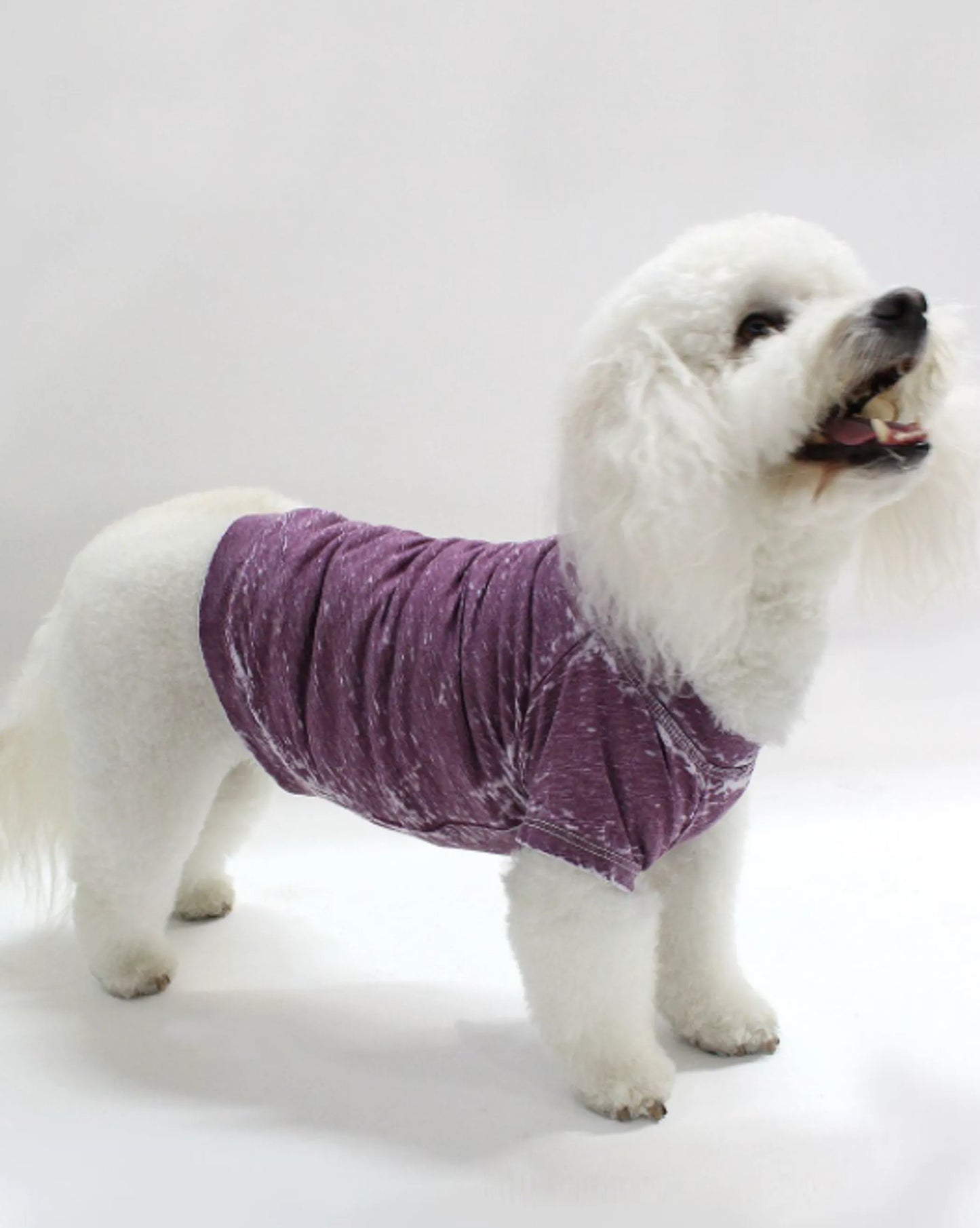 Doggy Tee - Your Pet Connection