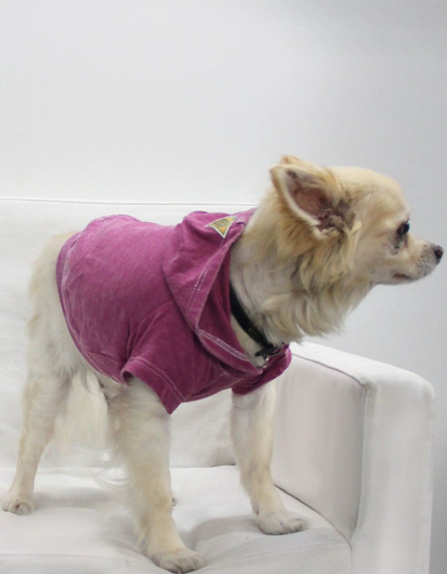 Doggy Hoodie French Terry - Your Pet Connection