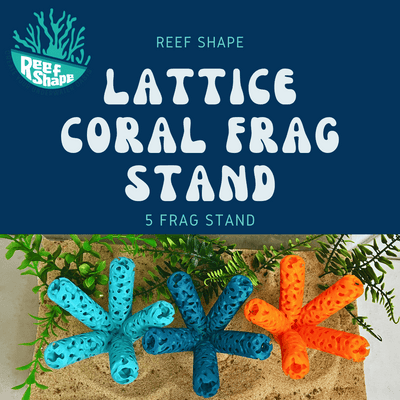 Aquarium Coral Frag Stand Branch | Lattice Coral Structure Branch Design with 5 Frag Mounts - Your Pet Connection