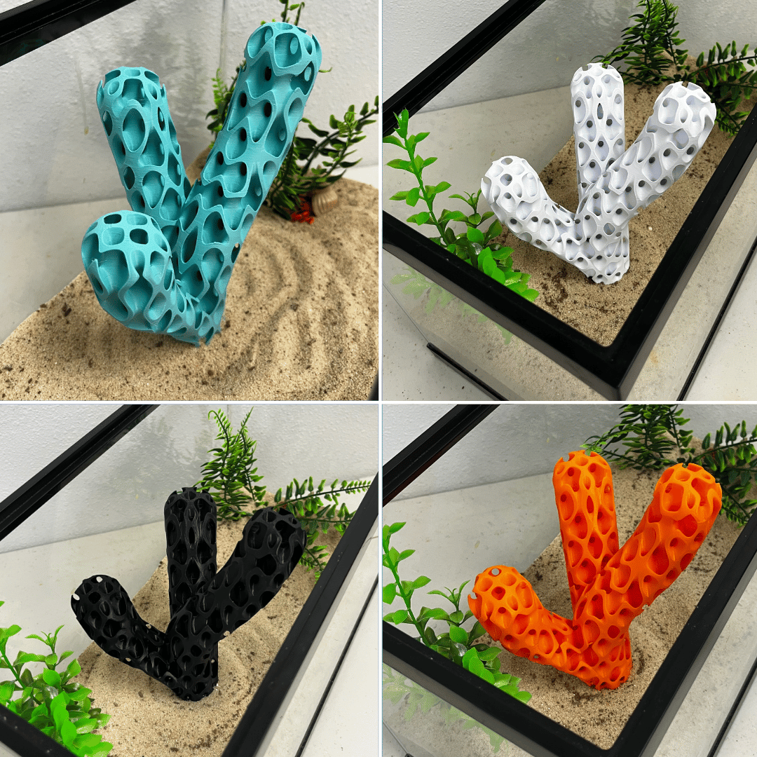 Aquatic Branch Haven – Lattice Coral Reef Branch Decor for Fish, Shrimp, & Aquatic Pets - Your Pet Connection