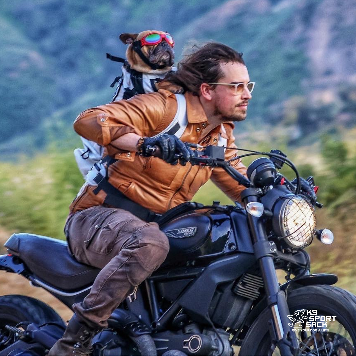 Knavigate | Advanced Dog Carrier with Internal Frame & Hip Belt - Your Pet Connection