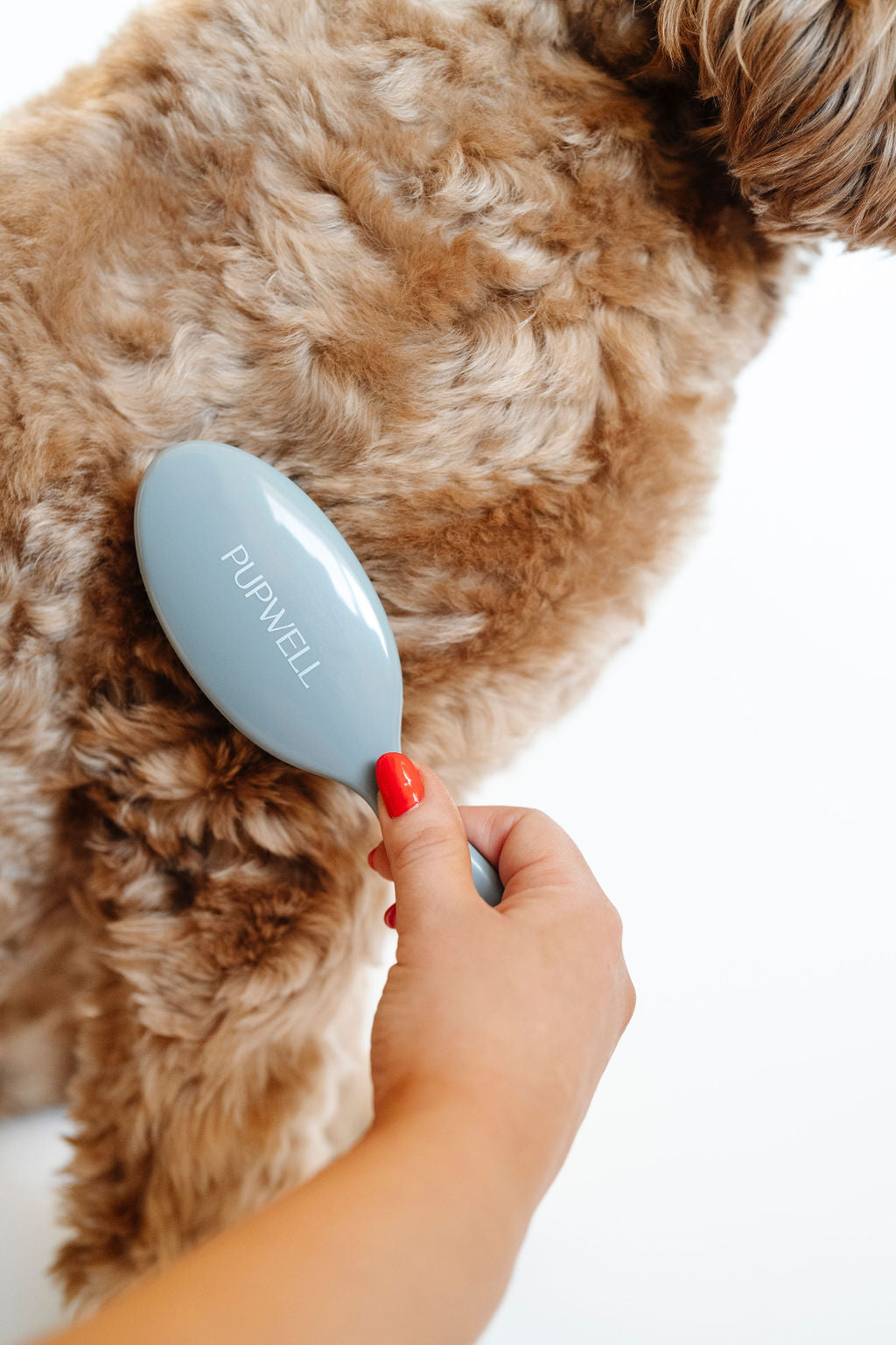 Gentle Detangling Brush - Your Pet Connection