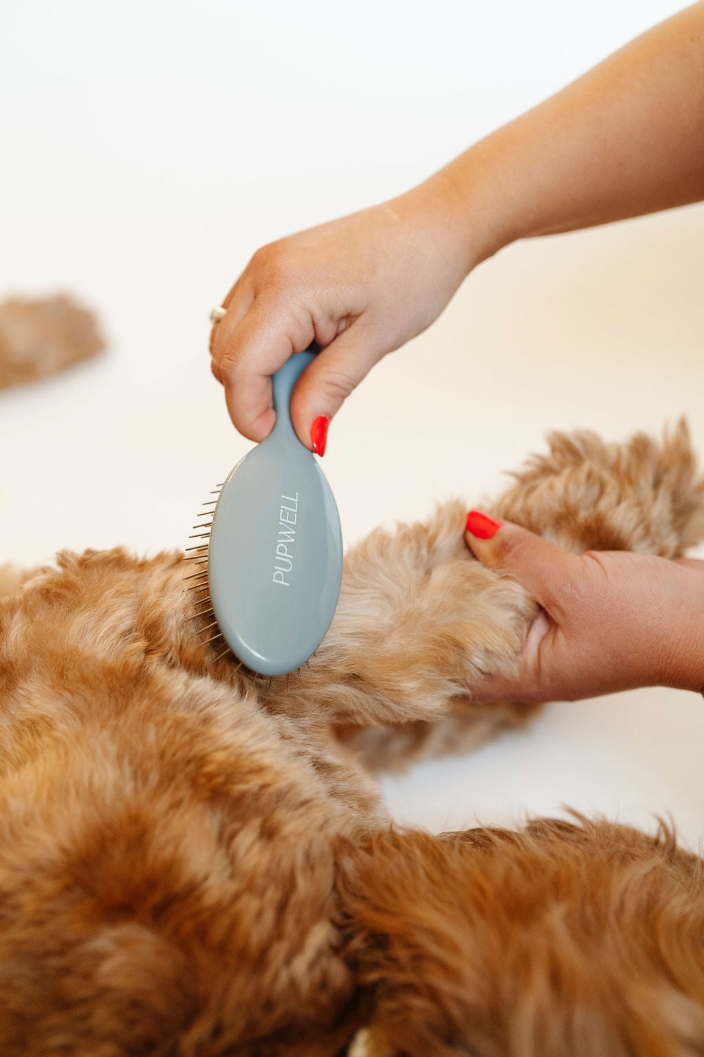 Gentle Detangling Brush - Your Pet Connection