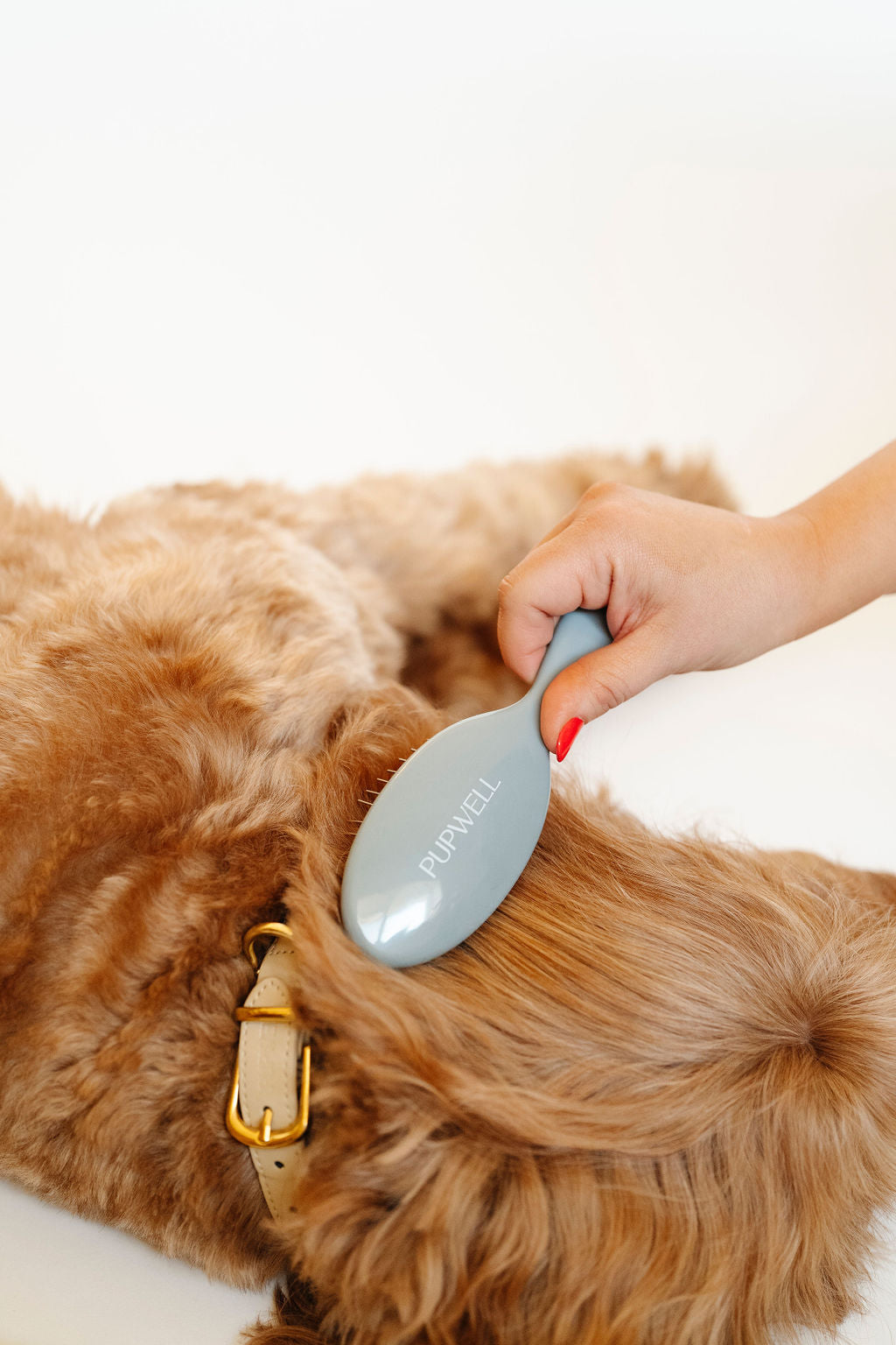 Gentle Detangling Brush - Your Pet Connection
