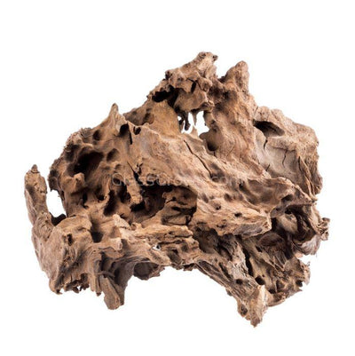 Mopane Congo Driftwood Small (6-10") - Your Pet Connection