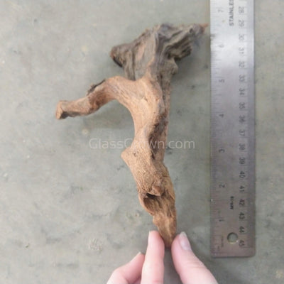 Pacific Driftwood Small (3-6") - Your Pet Connection