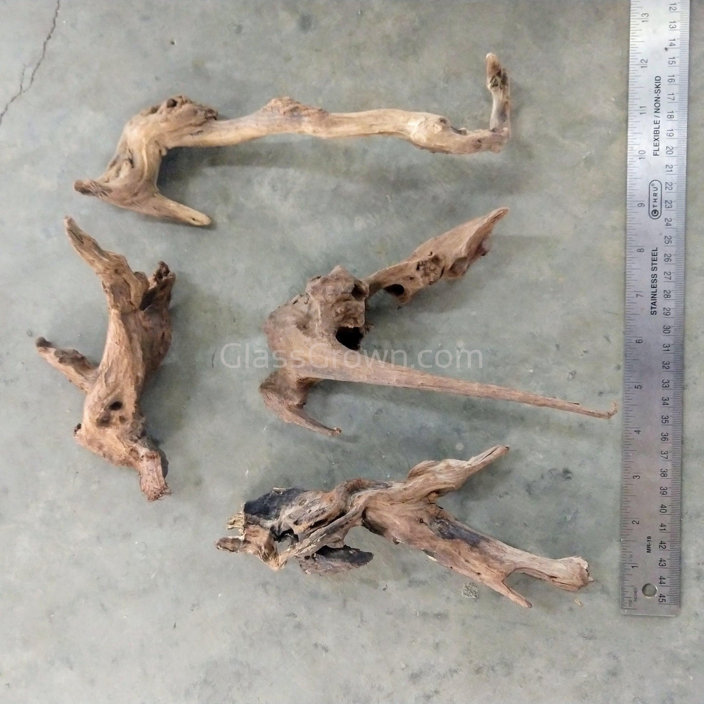 Pacific Driftwood Small (3-6") - Your Pet Connection