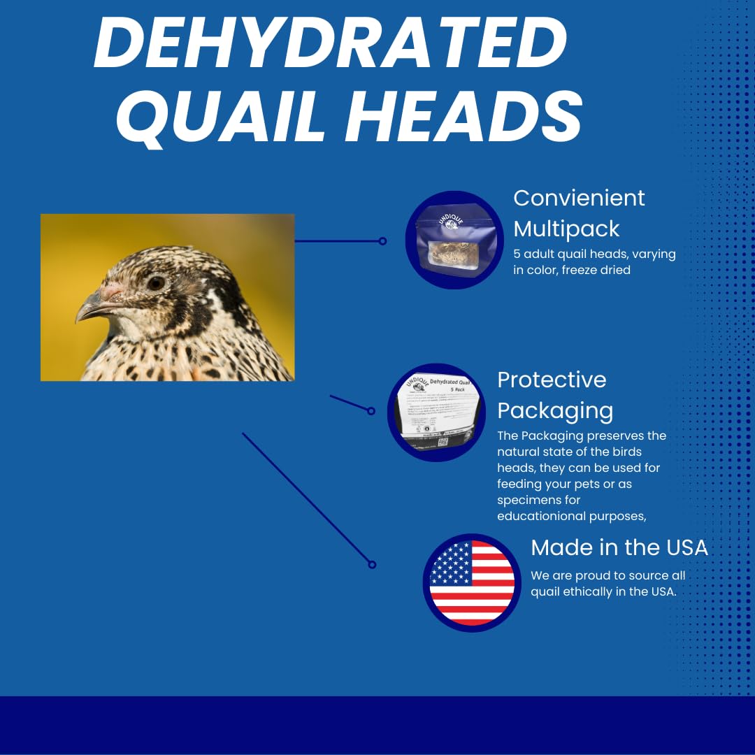 Fine Feline Feasts Quail Heads - Gourmet Cat Treats, High Protein, Nutrient-Dense, Promotes Natural Instincts, Healthy Skin & Coat, Minimal Ingredients Pack of 10 - Your Pet Connection