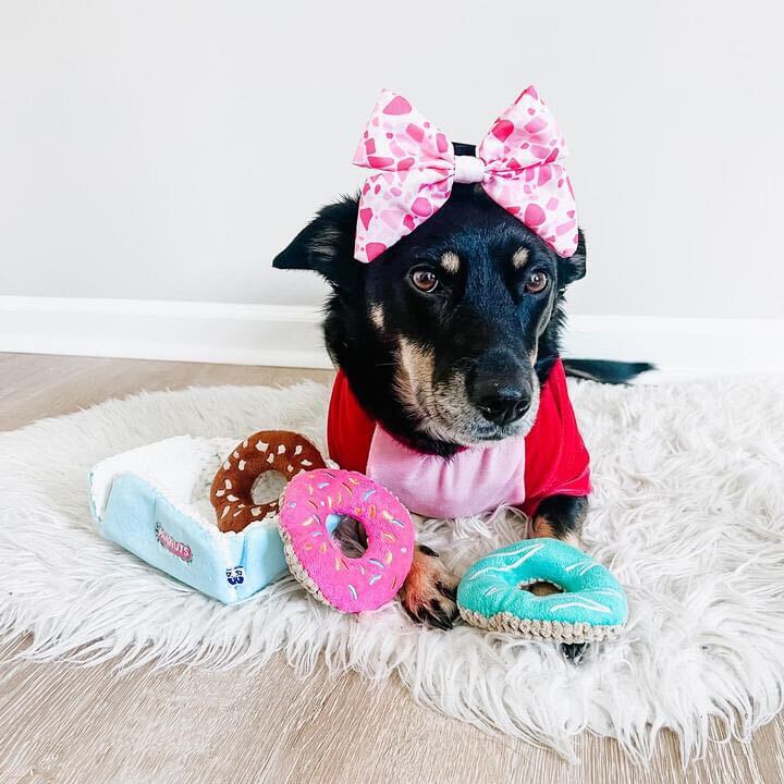 DONUTS INTERACTIVE DOG TOY - Your Pet Connection