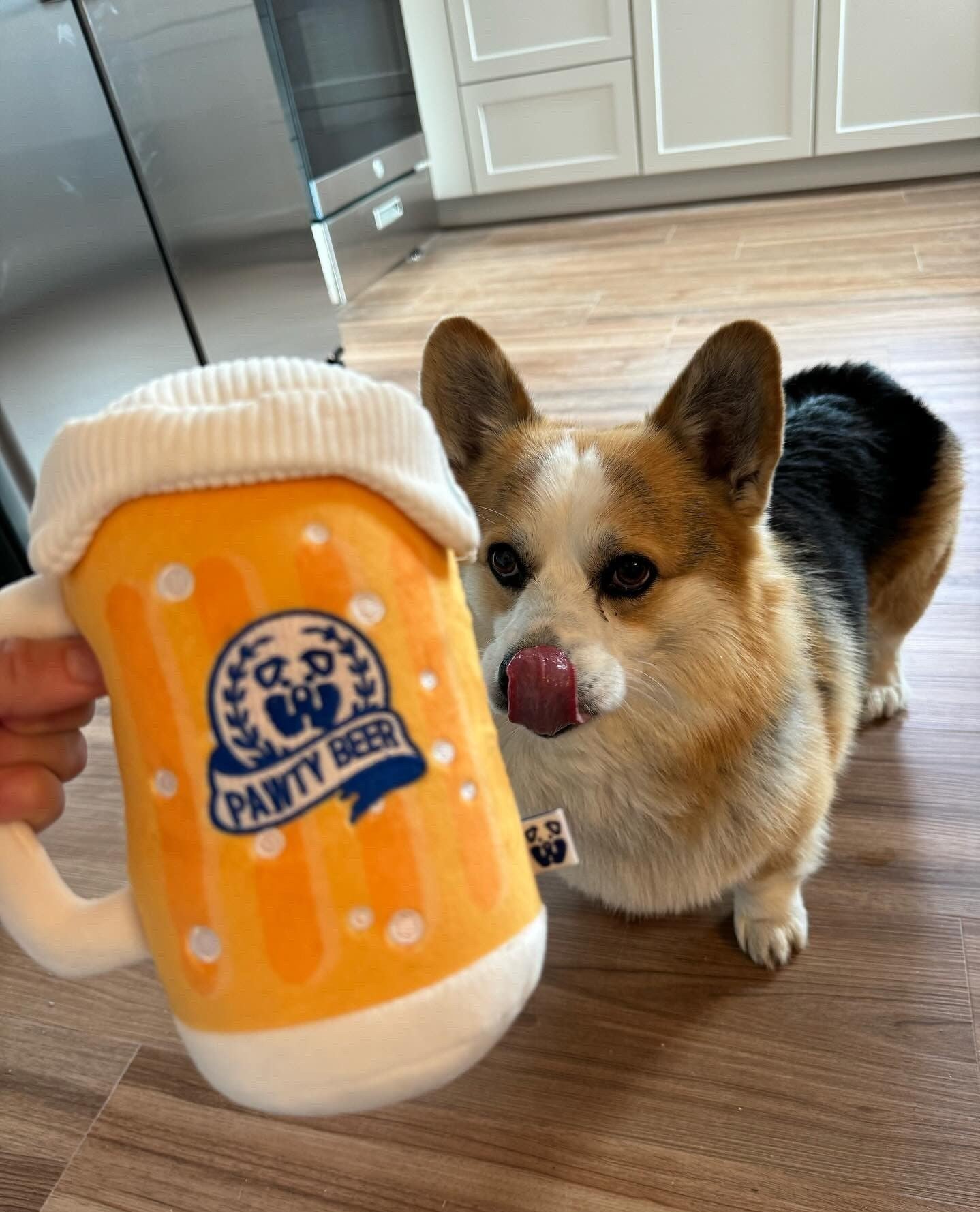 PAWTY BEER PLUSH DOG TOY - Your Pet Connection