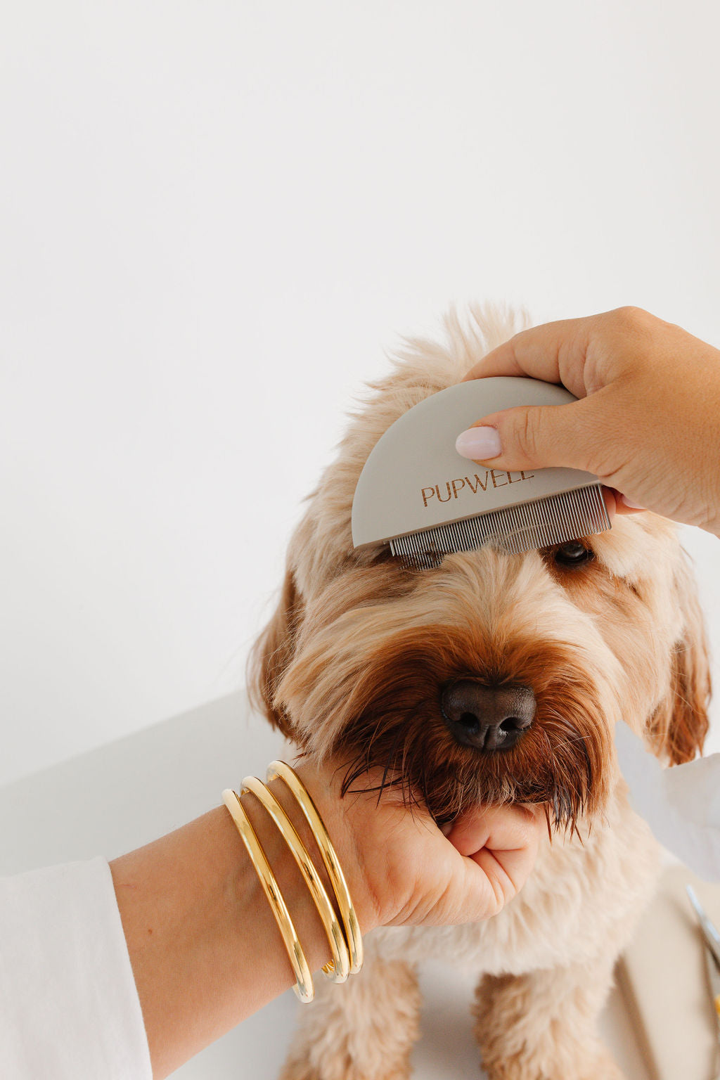 Detailer Comb - Your Pet Connection