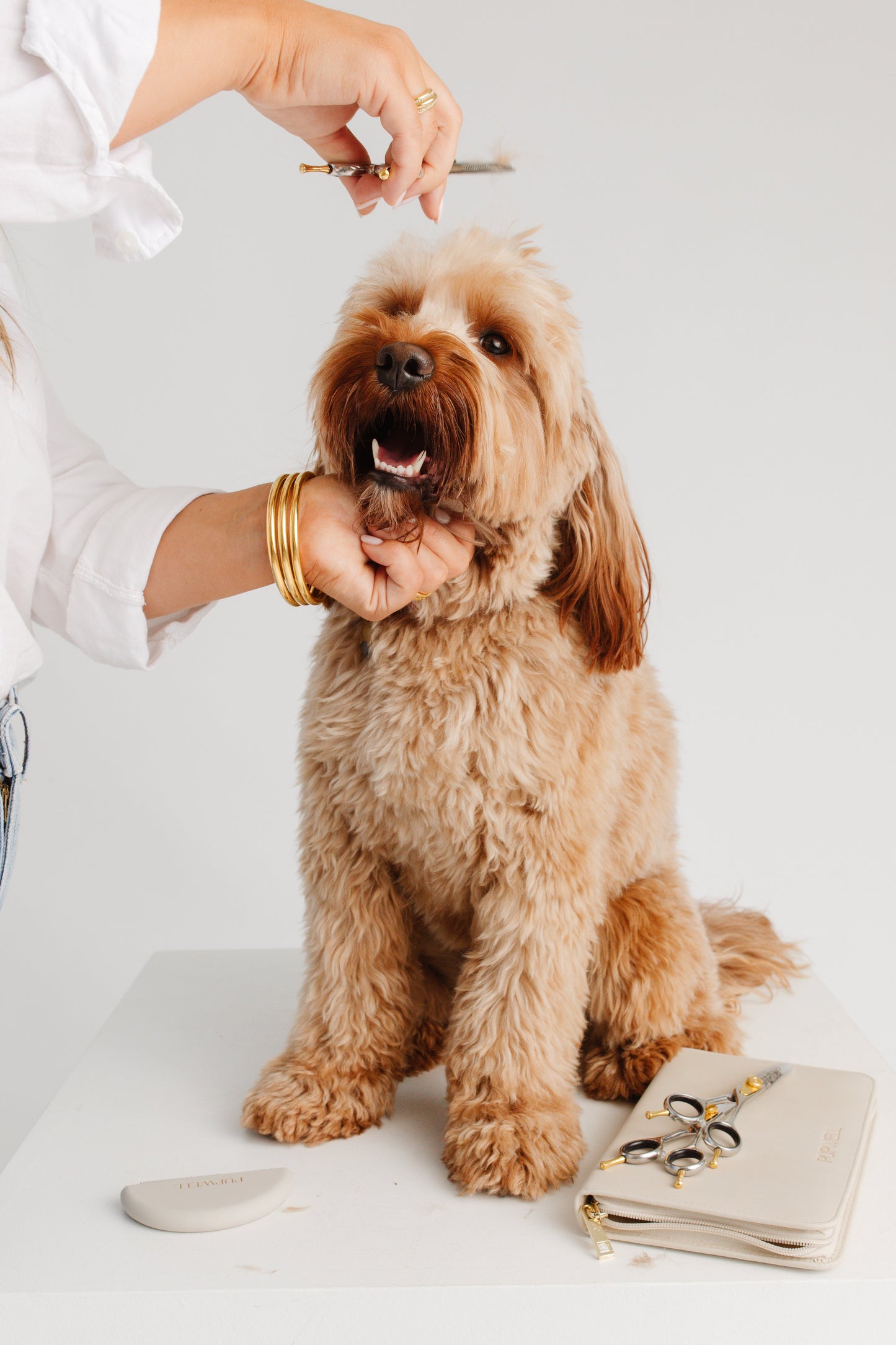 Ultimate Dog Grooming Kit - Your Pet Connection