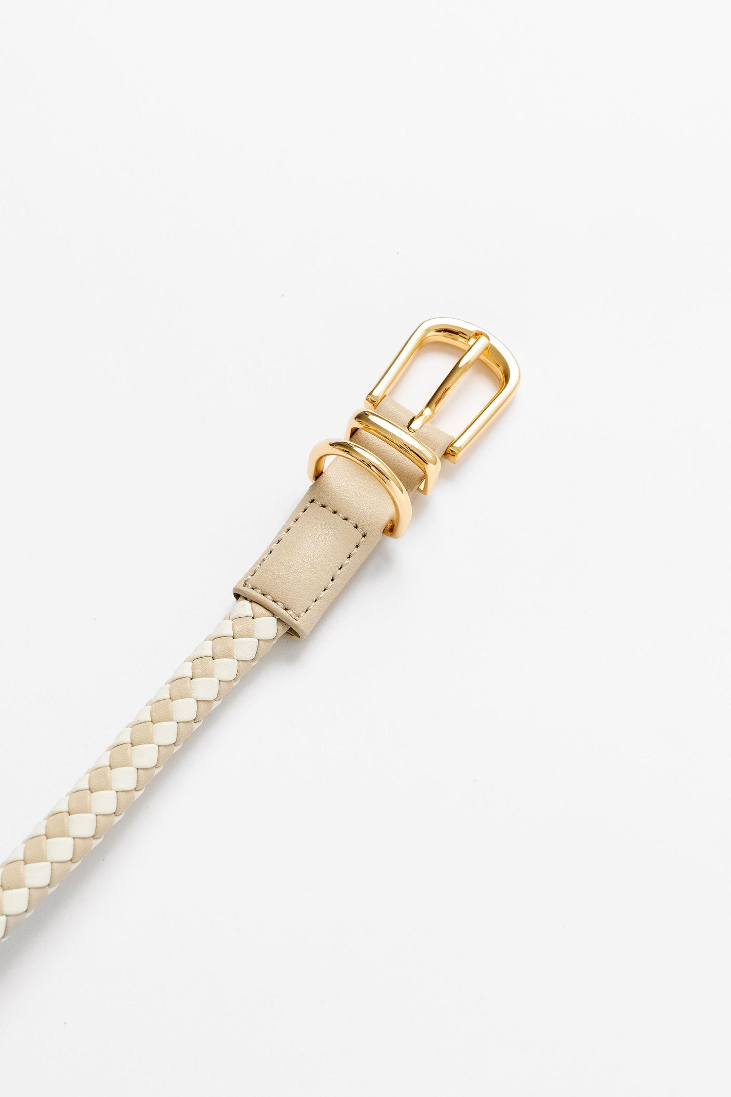Rolled Collar - Your Pet Connection