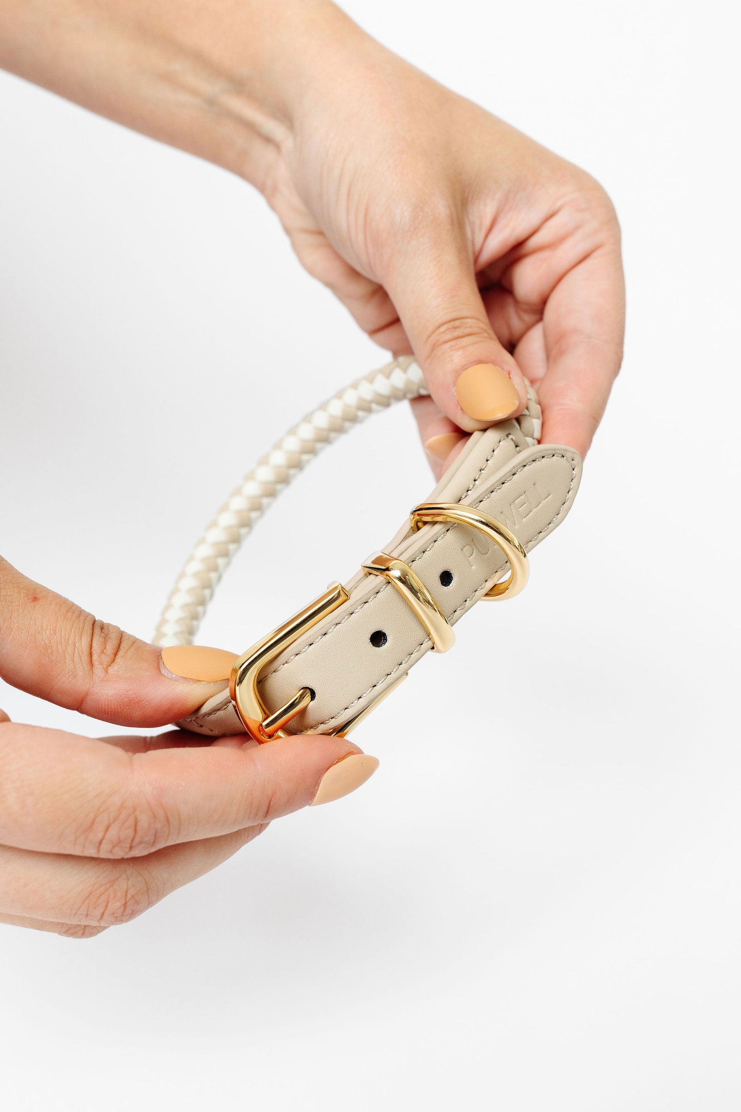 Rolled Collar - Your Pet Connection