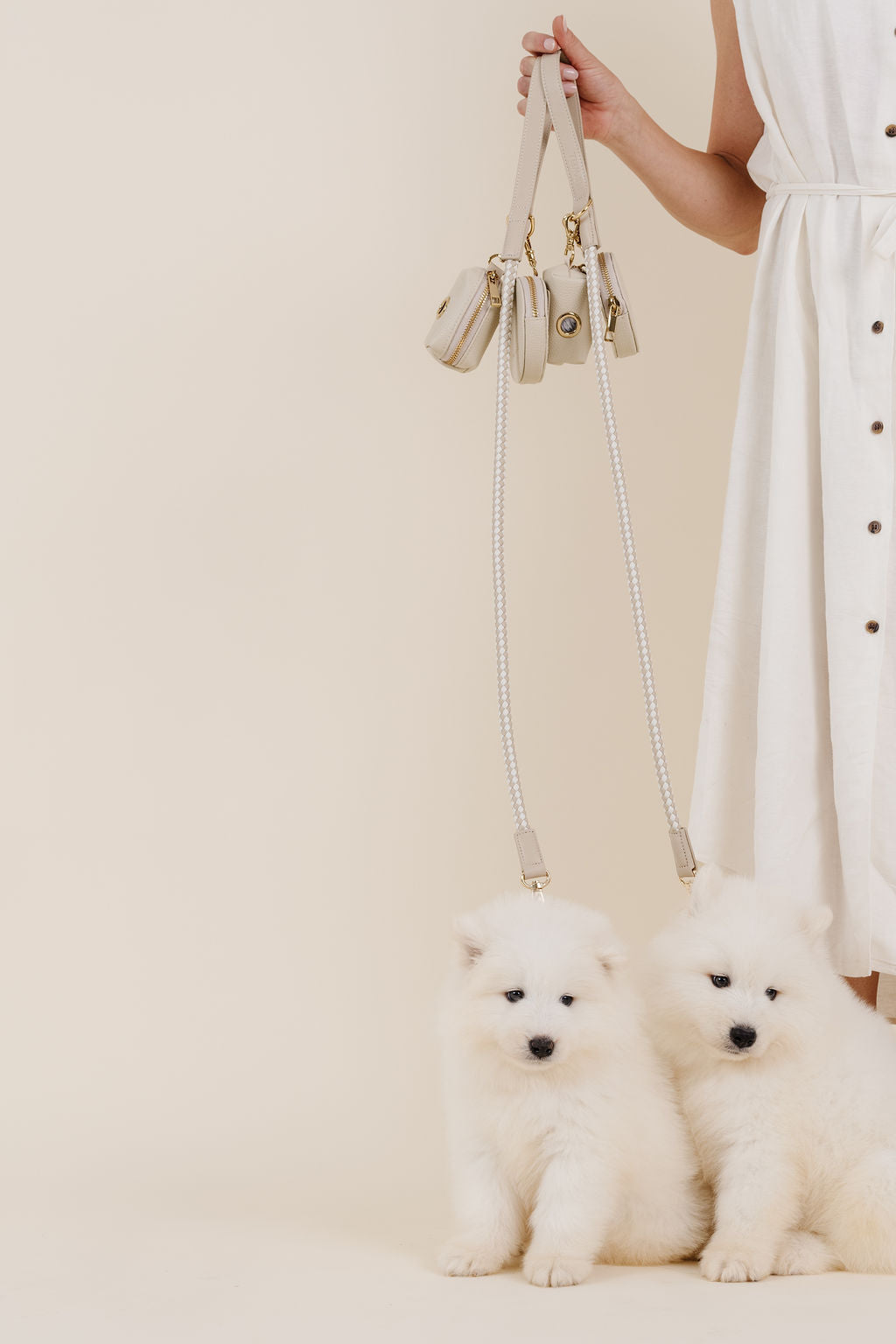 City Walk Kit - Your Pet Connection