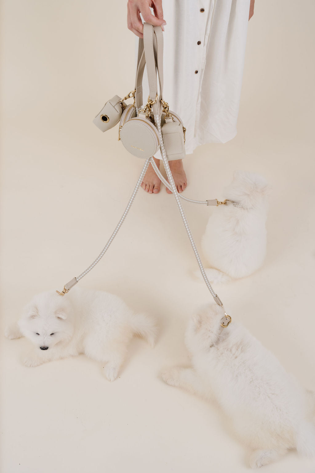 City Walk Kit - Your Pet Connection
