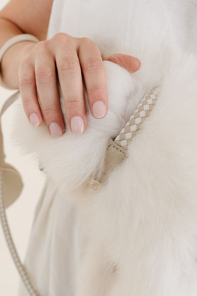 Rolled Collar - Your Pet Connection