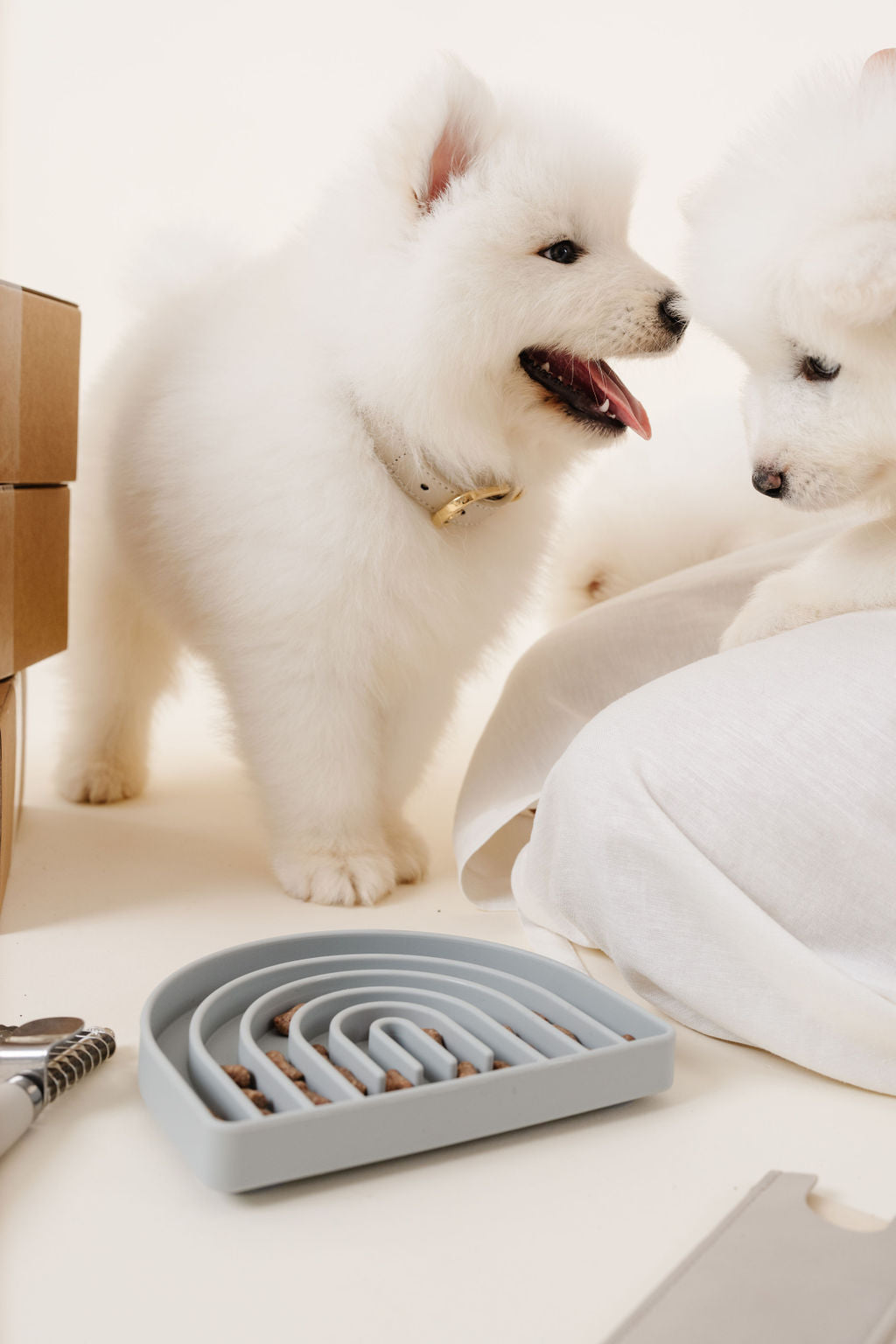 Rolled Collar - Your Pet Connection