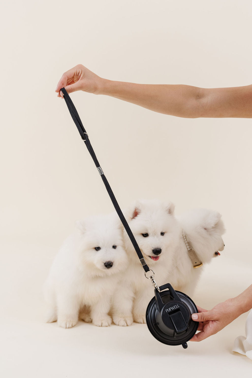 Stay In Place Leash - Your Pet Connection