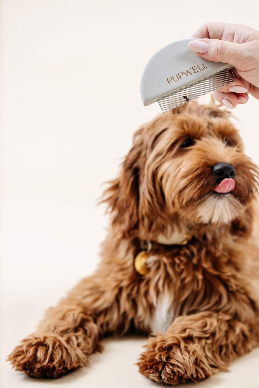 Detailer Comb - Your Pet Connection