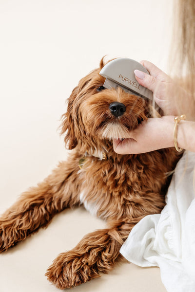 Detailer Comb - Your Pet Connection