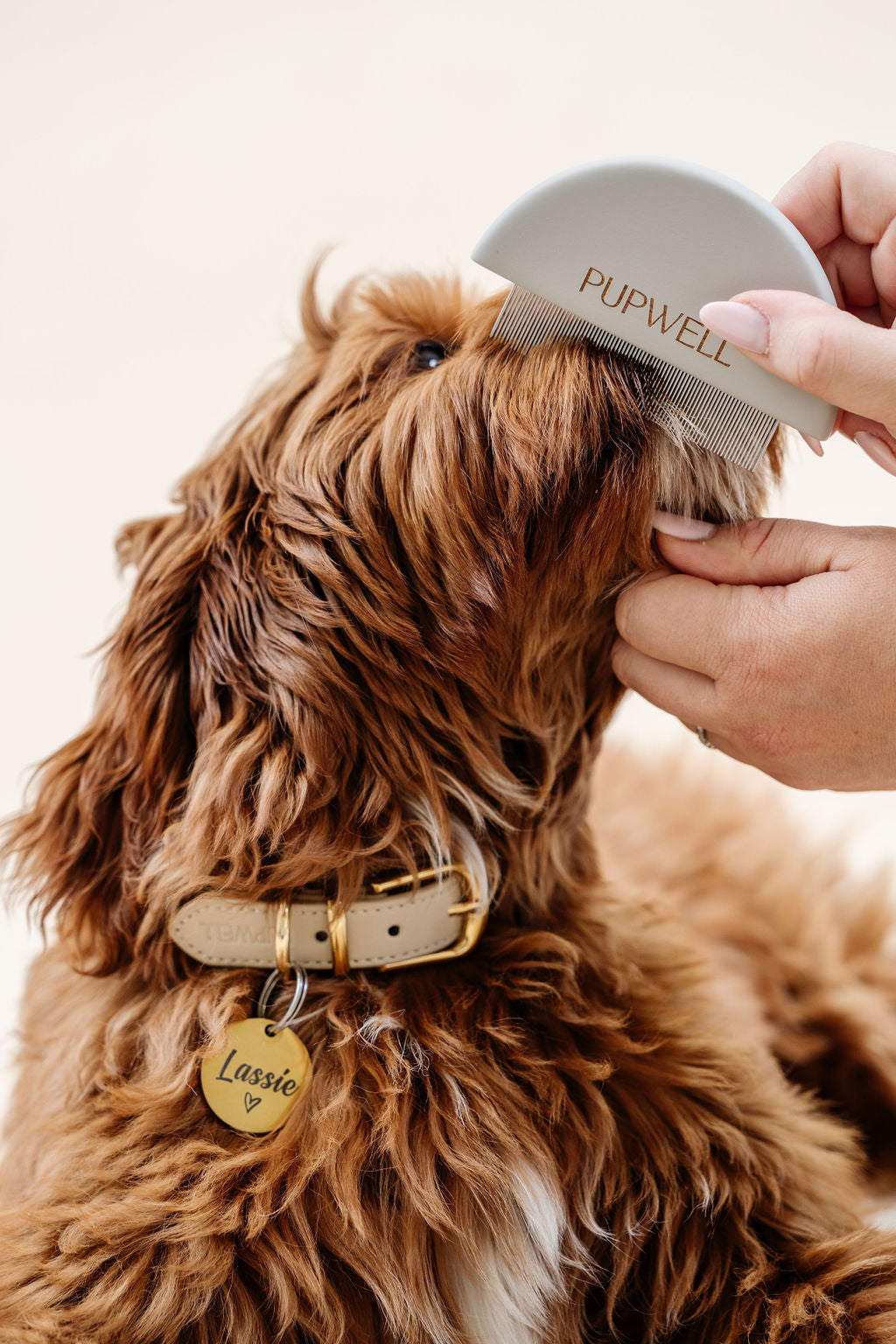 Pup Parent Essentials - Your Pet Connection