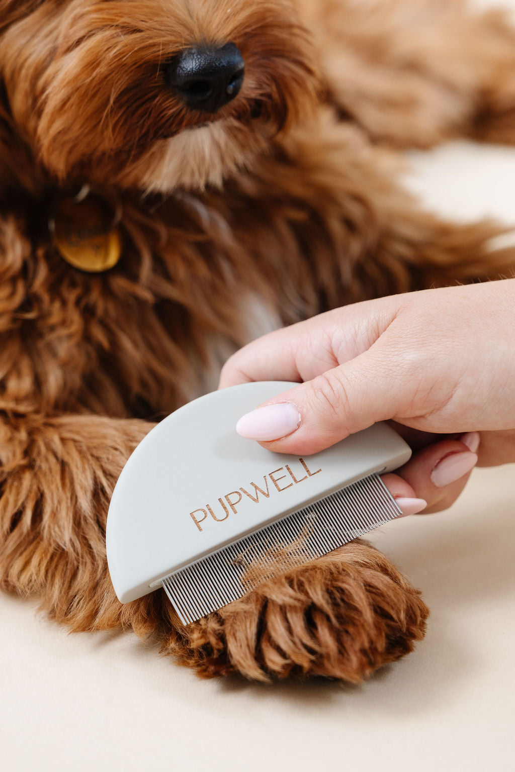 Detailer Comb - Your Pet Connection