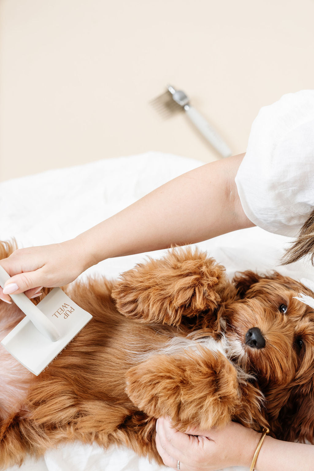 Pup Parent Essentials - Your Pet Connection